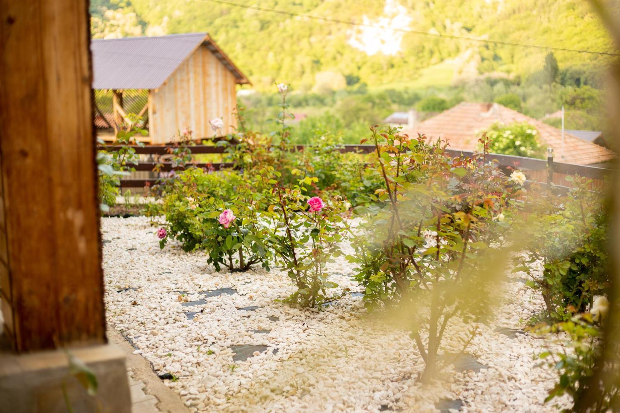 Casa Rumelia Paltineni Ngoại thất bức ảnh